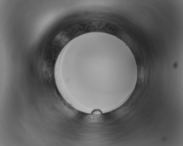 X0000116850526201001051509