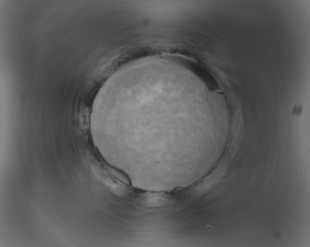 X0000116850528201001051509