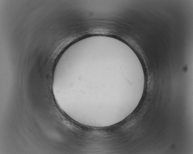 X0000116850529201001051508