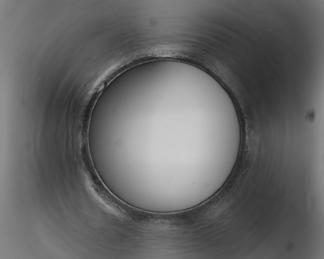 X0000116850530201001051508