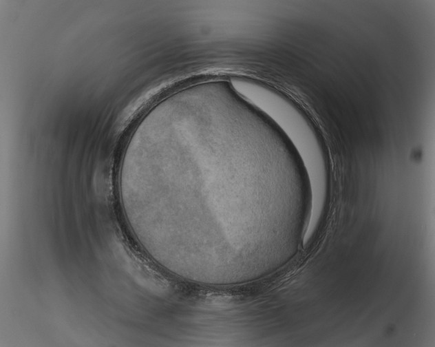 X0000116850531201001051508