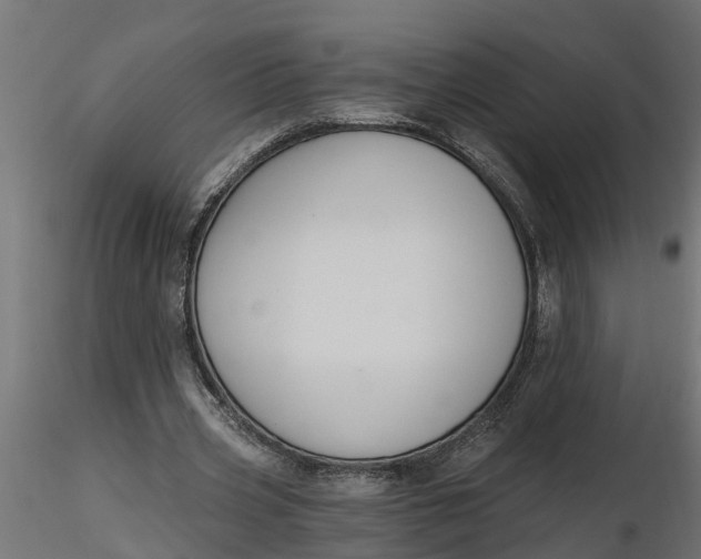 X0000116850533201001051508