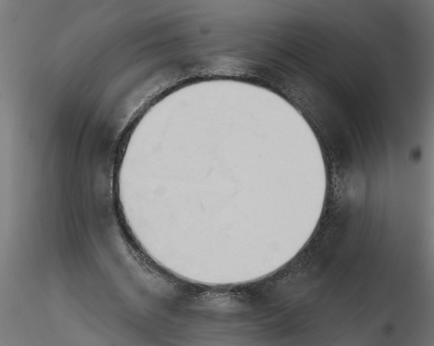 X0000116850534201001051508