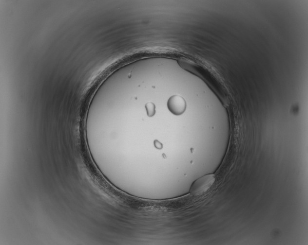 X0000116850535201001051508