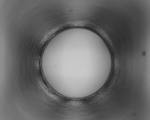 X0000116850537201001051508