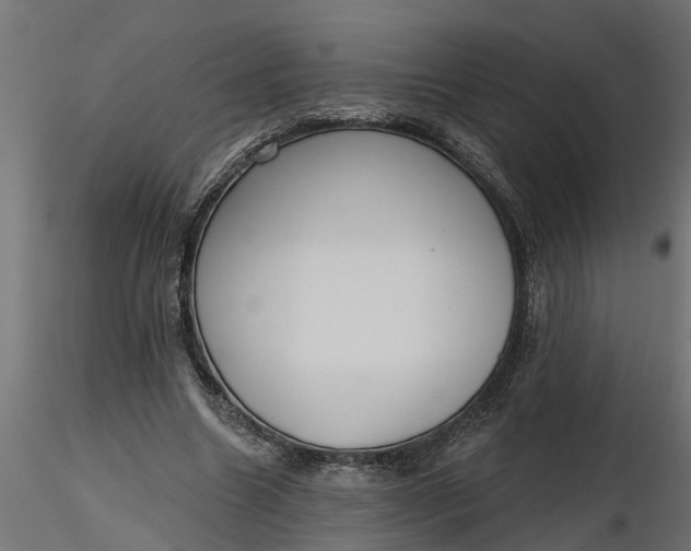 X0000116850538201001051508