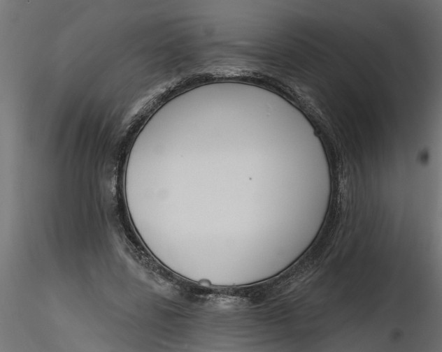 X0000116850539201001051508