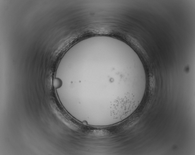 X0000116850541201001051508