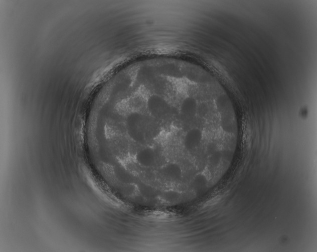 X0000116850542201001051508