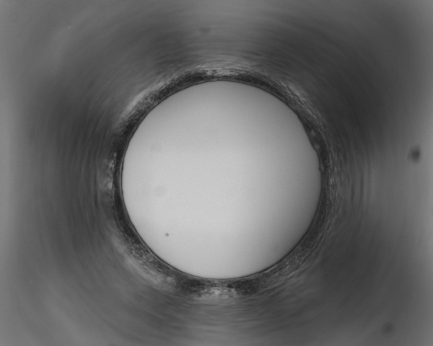 X0000116850543201001051508