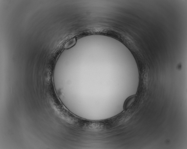 X0000116850546201001051508