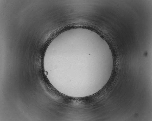 X0000116850547201001051508