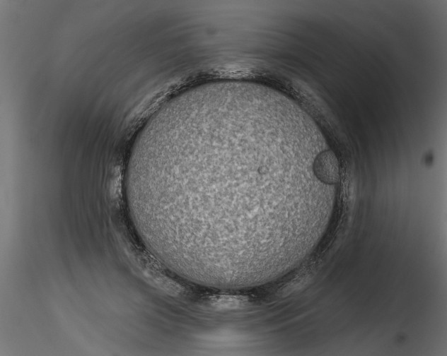 X0000116850549201001051508