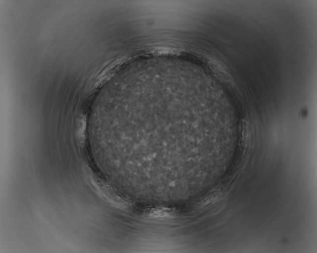 X0000116850550201001051508