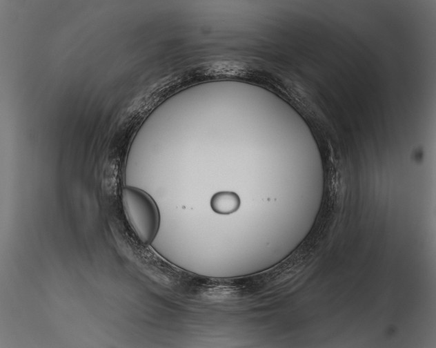 X0000116850551201001051508