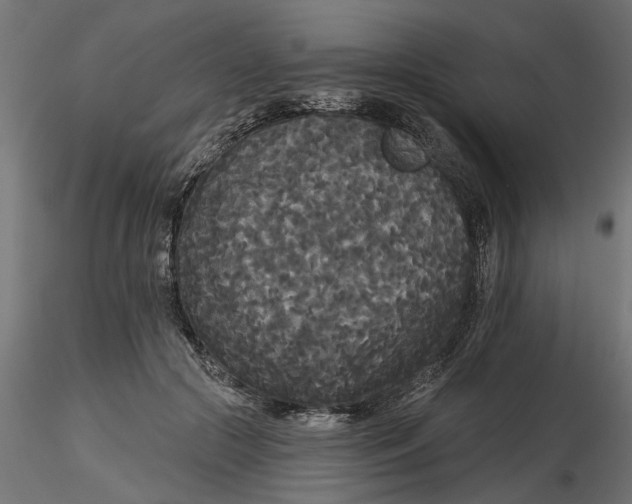 X0000116850553201001051508