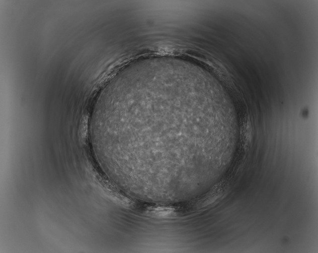 X0000116850554201001051508