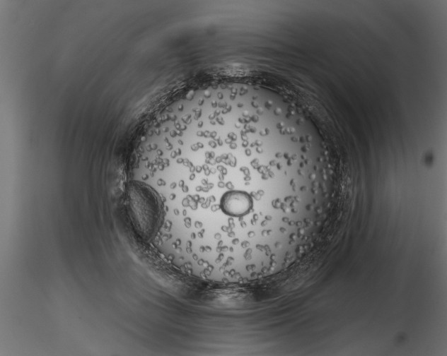 X0000116850555201001051508