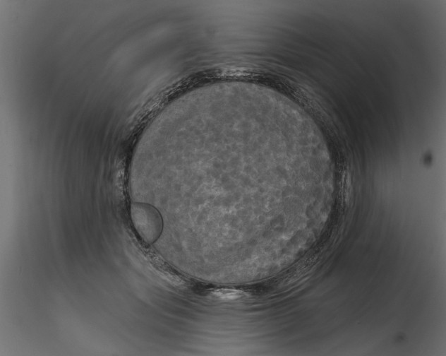 X0000116850557201001051508