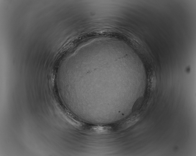 X0000116850558201001051508