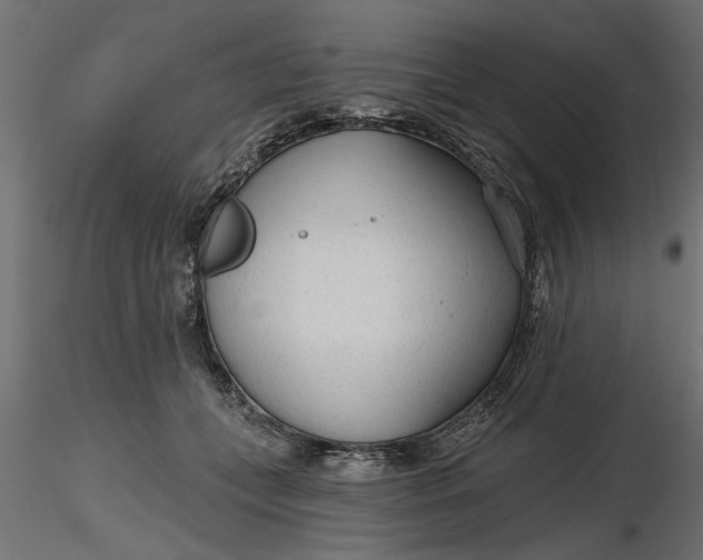 X0000116850559201001051508