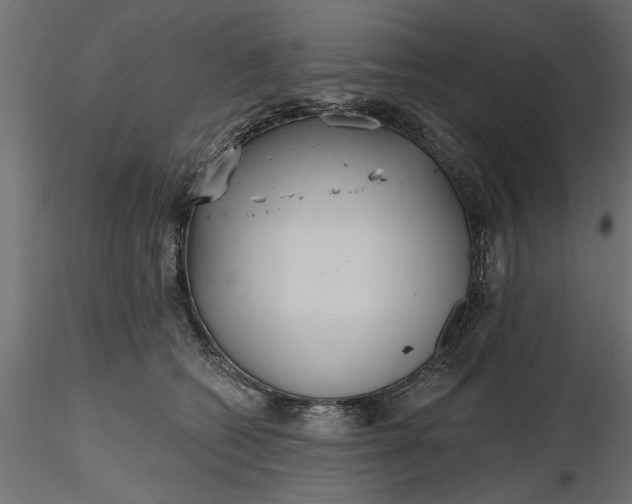 X0000116850562201001051508