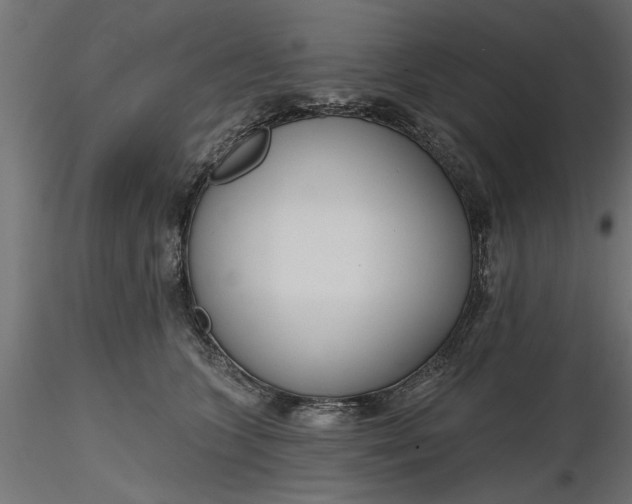 X0000116850563201001051508