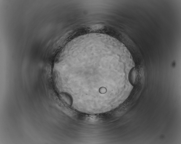 X0000116850565201001051508