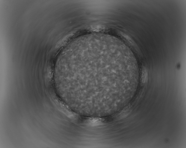 X0000116850569201001051508