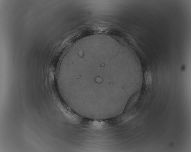 X0000116850570201001051508