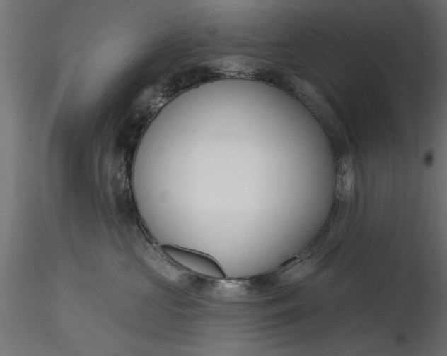 X0000116850573201001051508