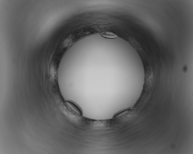 X0000116850574201001051509