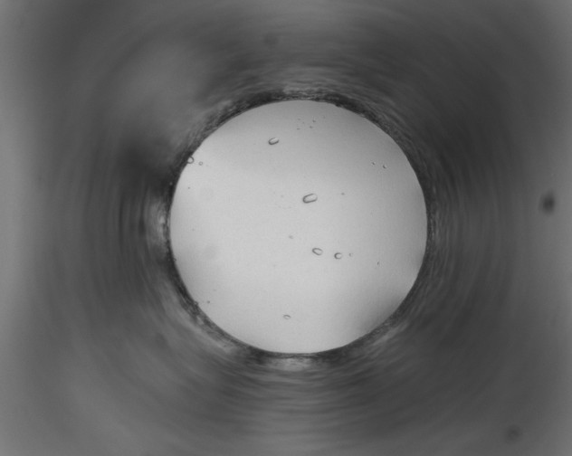 X0000116850575201001051509