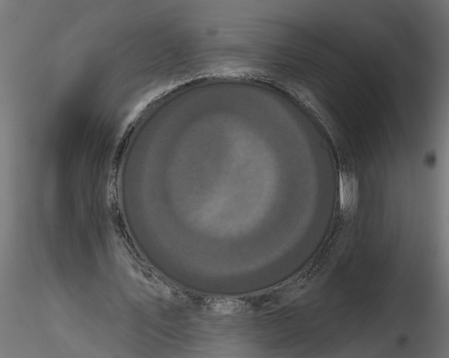 X0000116850579201001051508