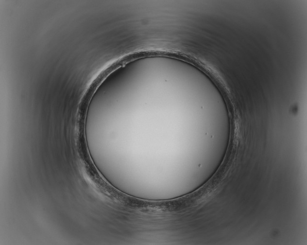 X0000116850580201001051508