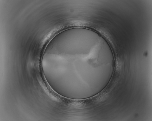 X0000116850581201001051508