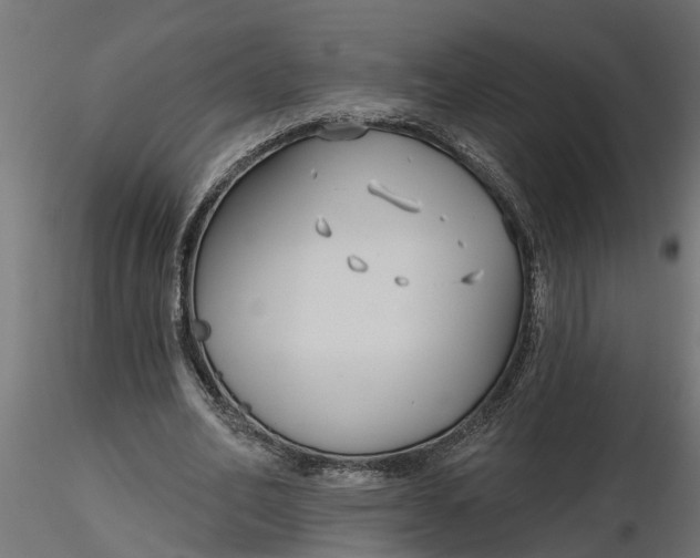 X0000116850582201001051508