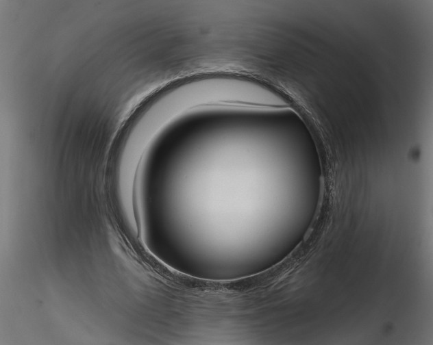 X0000116850583201001051508