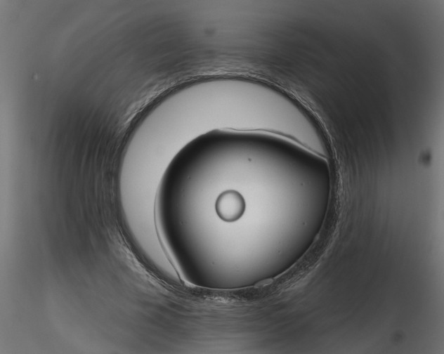 X0000116850585201001051508