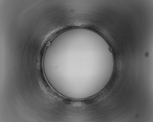 X0000116850587201001051508