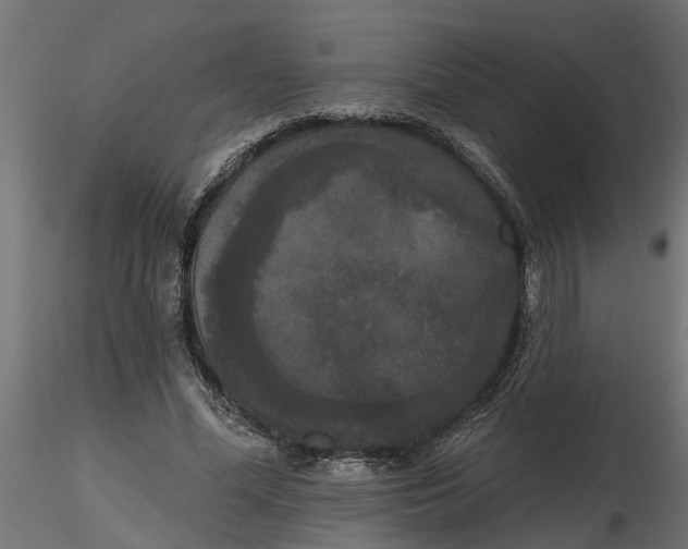 X0000116850588201001051508