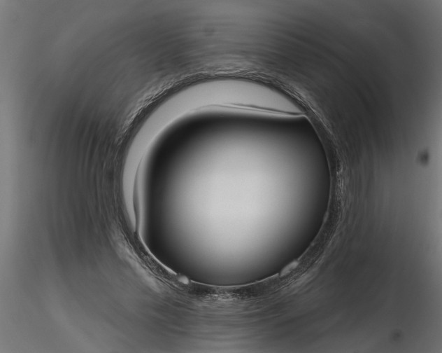 X0000116850589201001051508