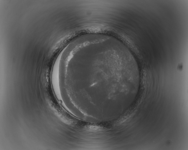 X0000116850590201001051508