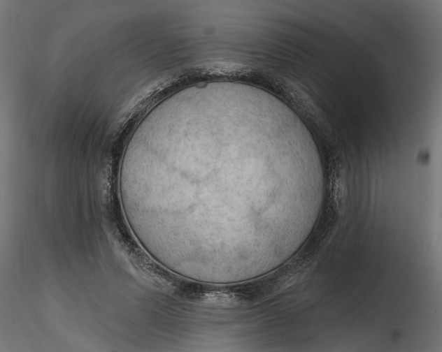 X0000116850591201001051508