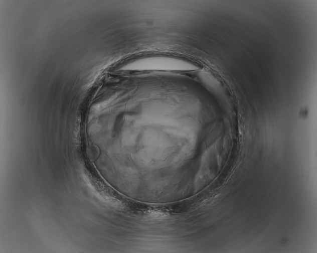 X0000116850592201001051508