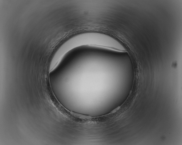 X0000116850593201001051508