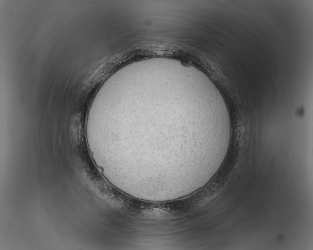 X0000116850594201001051508