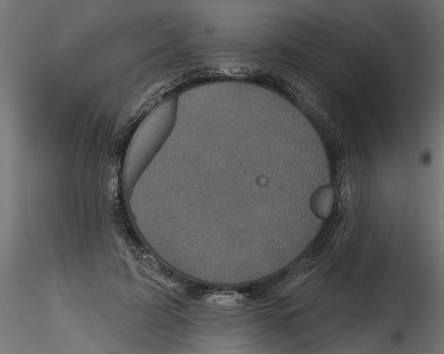 X0000116850595201001051508