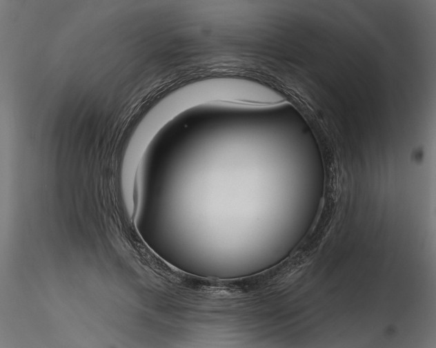 X0000116850597201001051508