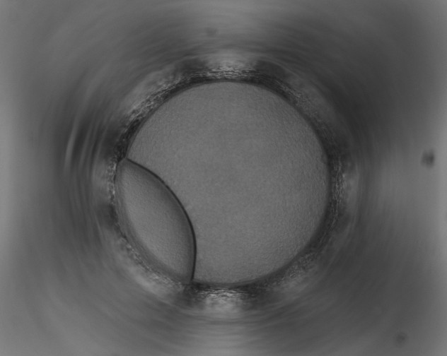 X0000116850599201001051508